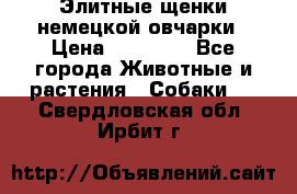 Элитные щенки немецкой овчарки › Цена ­ 30 000 - Все города Животные и растения » Собаки   . Свердловская обл.,Ирбит г.